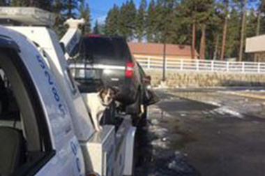 Georgetown impound towing company near me since 1982 in WA near 98108