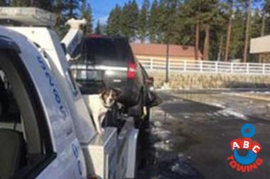 Georgetown impound towing company near me since 1982 in WA near 98108